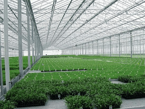 具备哪些温室育苗装备，可加速蔬菜工业现代化历程？